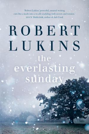 Cover of the book The Everlasting Sunday by Amanda Gearing