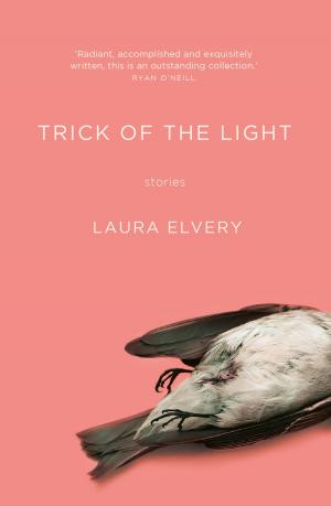 Cover of the book Trick of the Light by Isak Svensson