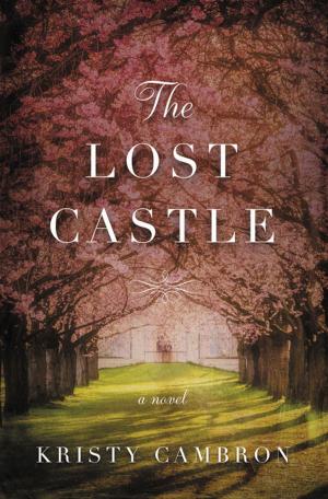 Cover of the book The Lost Castle by Linda Lee Graham
