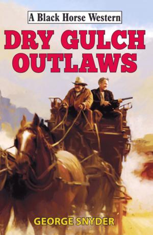Cover of the book Dry Gulch Outlaws by Calle J. Brookes
