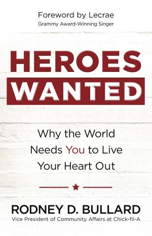 Cover of the book Heroes Wanted by Georgia Varozza