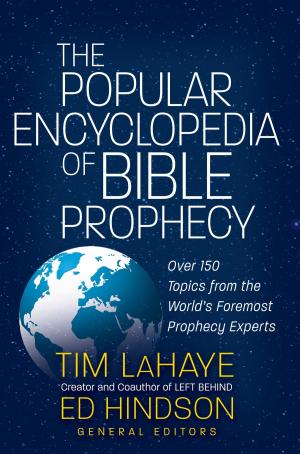 Cover of the book The Popular Encyclopedia of Bible Prophecy by Jim George