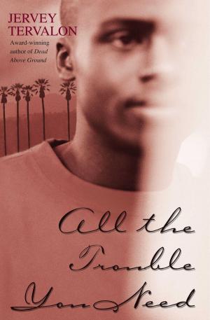 Cover of the book All the Trouble You Need by Alice Christensen