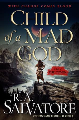 Cover of the book Child of a Mad God by L. E. Modesitt Jr.