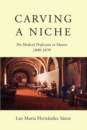 Cover of the book Carving a Niche by Eduardo Matos Moctezuma