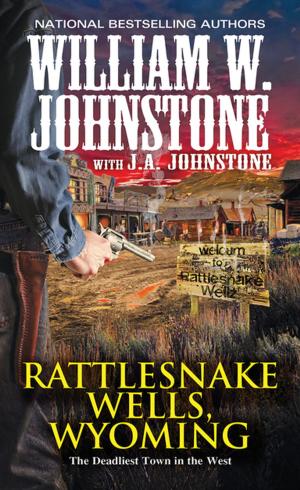 Cover of the book Rattlesnake Wells, Wyoming by Jane Haseldine