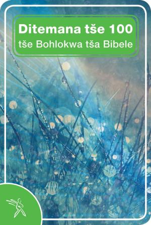 Book cover of Ditemana tše 100 tše Bohlokwa tša Bibele