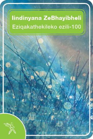 Cover of the book Iindinyana ZeBhayibheli Eziqakathekileko ezili-100 by Santoshan (Stephen Wollaston)