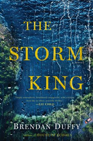 Cover of the book The Storm King by Katie Rose