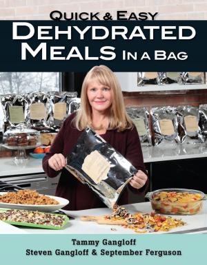 Cover of the book Quick and Easy Dehydrated Meals in a Bag by Robert M. Powers