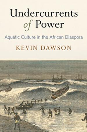 Cover of the book Undercurrents of Power by 