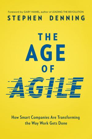 Cover of the book The Age of Agile by Jimmy ANKLESARIA