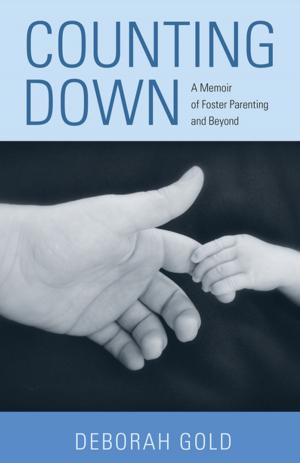 Cover of the book Counting Down by Linda Schierse Leonard