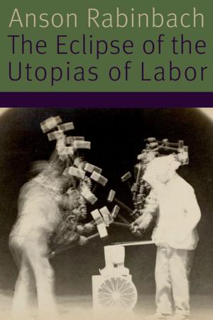 Cover of the book The Eclipse of the Utopias of Labor by Jeremy Barris