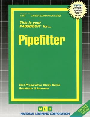 Cover of the book Pipefitter by 劉漢民