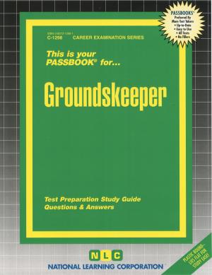 Cover of the book Groundskeeper by Leithy Mohamed Leithy