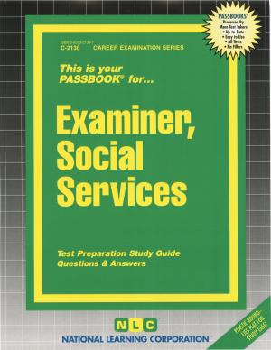 bigCover of the book Examiner, Social Services by 