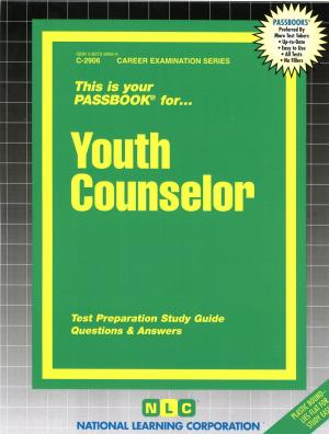 Book cover of Youth Counselor