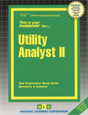Cover of the book Utility Analyst II by National Learning Corporation