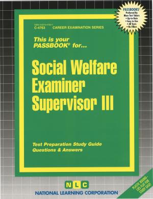 Cover of the book Social Welfare Examiner Supervisor III by 林俐