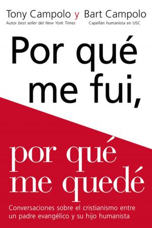Cover of the book Porqué me fui, porqué me quedé by Andrés Panasiuk