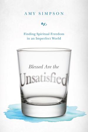 Cover of the book Blessed Are the Unsatisfied by Ian Morgan Cron, Suzanne Stabile