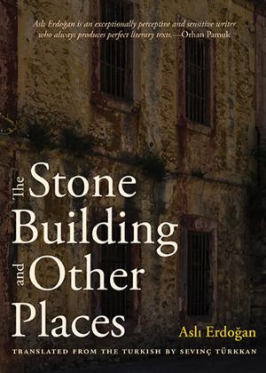 Cover of The Stone Building and Other Places