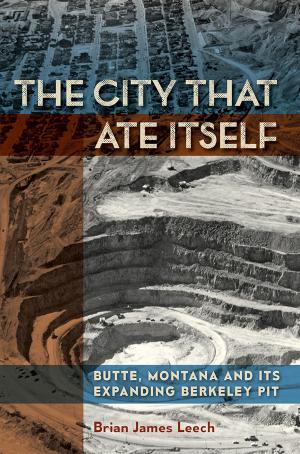 Cover of the book The City That Ate Itself by Dan Dagget