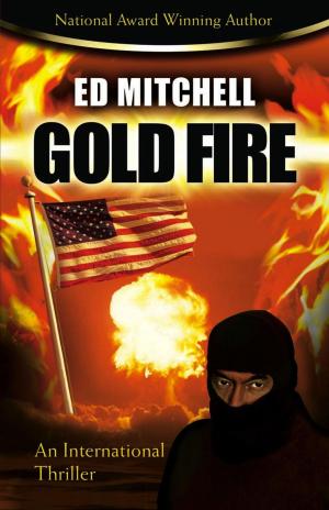 Cover of the book Gold Fire by Lisa Groszek