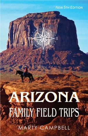Cover of the book Arizona Family Field Trips by Dean Stephen