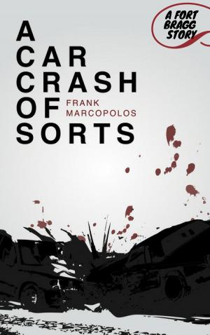 Book cover of A Car Crash of Sorts