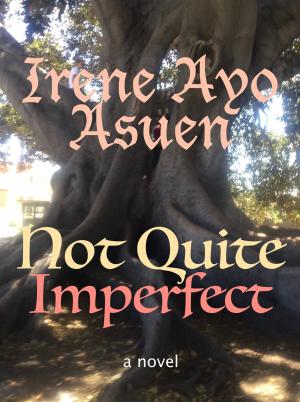 Cover of the book Not Quite Imperfect by D.D.Johnston