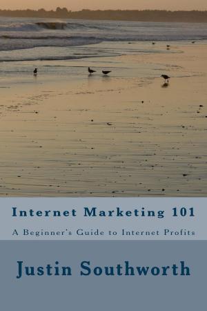 bigCover of the book Internet Marketing 101: A Beginner's Guide to Internet Profits by 