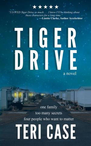 Cover of the book TIGER DRIVE by Edith Kneifl