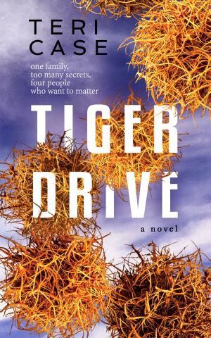 Cover of the book TIGER DRIVE by David Grote