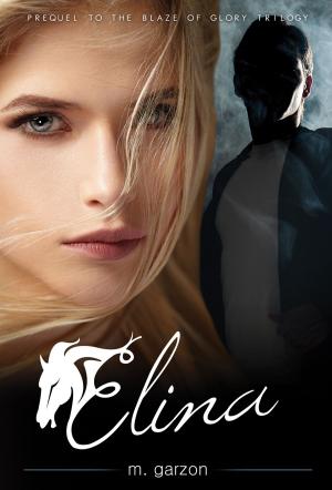 Cover of the book Elina by Peter Presley