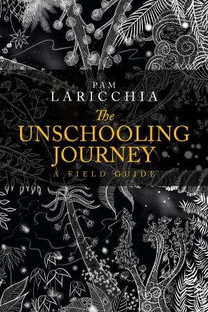 Book cover of The Unschooling Journey: A Field Guide