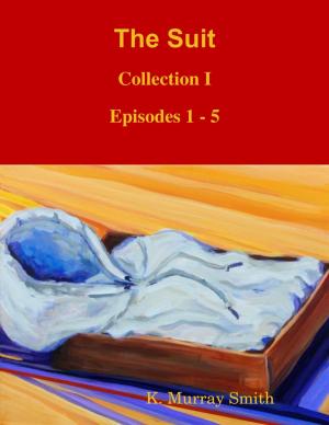 Book cover of The Suit : Collection I : Episodes 1 - 5