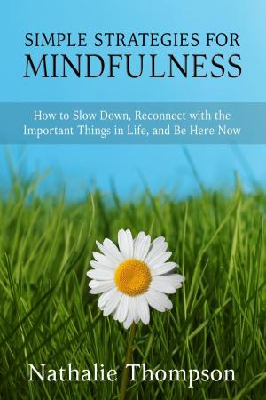 Cover of the book Simple Strategies for Mindfulness by Damian Smyth