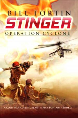 Cover of the book Stinger by G Oldman