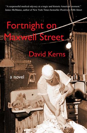 Cover of the book Fortnight on Maxwell Street by Gemma Mawdsley
