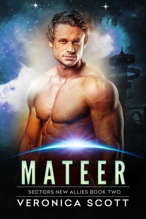 Cover of the book Mateer by 井上智德