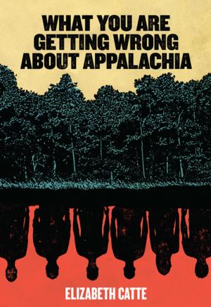 bigCover of the book What You Are Getting Wrong About Appalachia by 