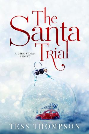 Cover of the book The Santa Trial by Anne  Gracie