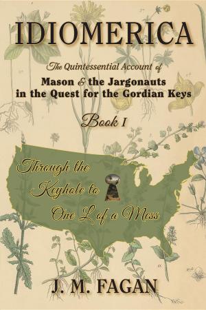 Book cover of Through the Keyhole to One L of a Mess