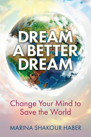 Book cover of Dream A Better Dream