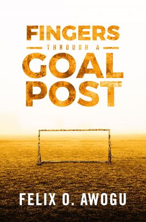 Cover of the book Fingers Through a Goalpost by J.E Sturdivant