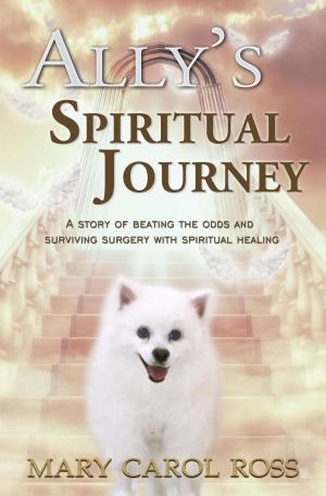 Cover of the book Ally's Spiritual Journey by Lisa Manzione