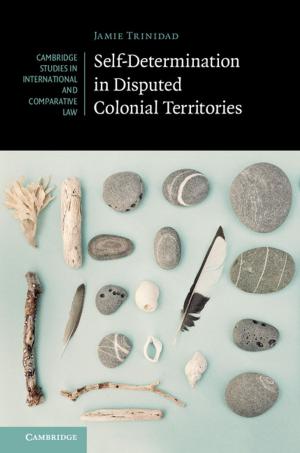 Cover of the book Self-Determination in Disputed Colonial Territories by Jim Feist
