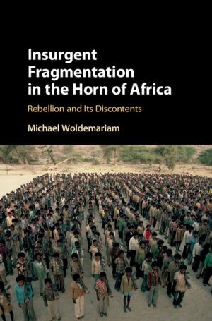 Cover of the book Insurgent Fragmentation in the Horn of Africa by Dror G. Feitelson